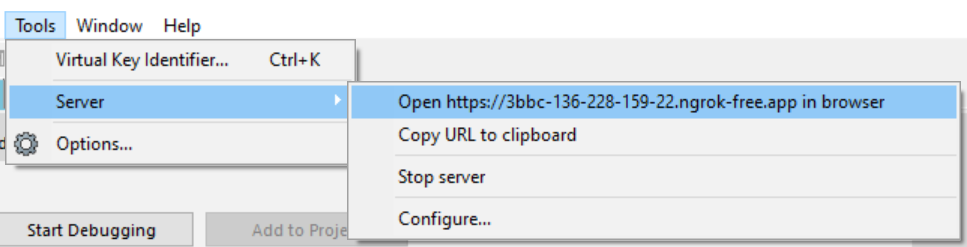 Tools/Options/Server menu showing ngrok