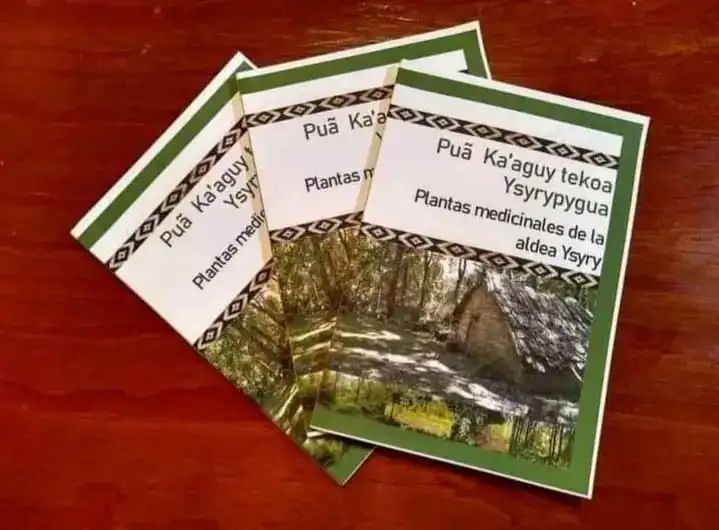 Mbya Guarani Books